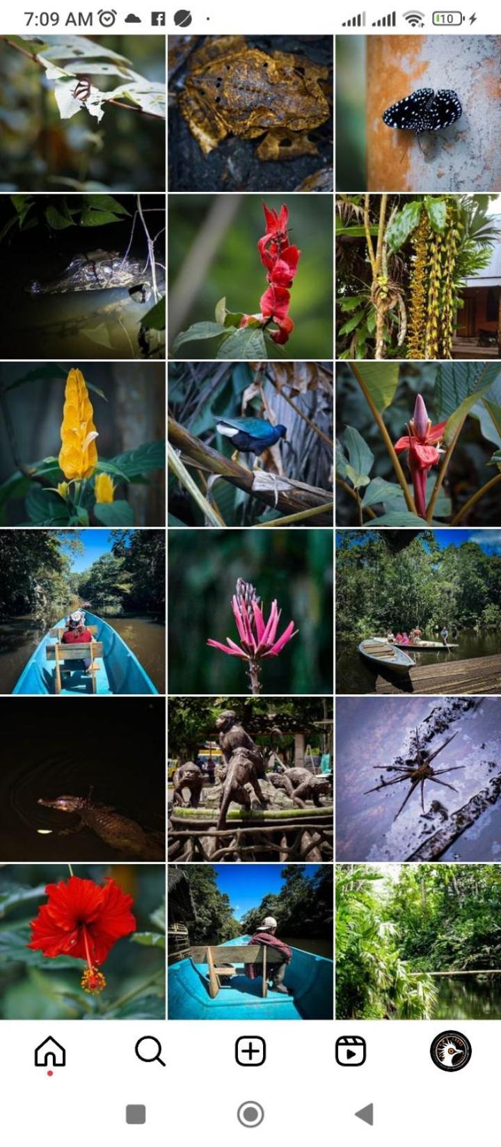 Misahualli Laguna Paikawe B&B Bagian luar foto