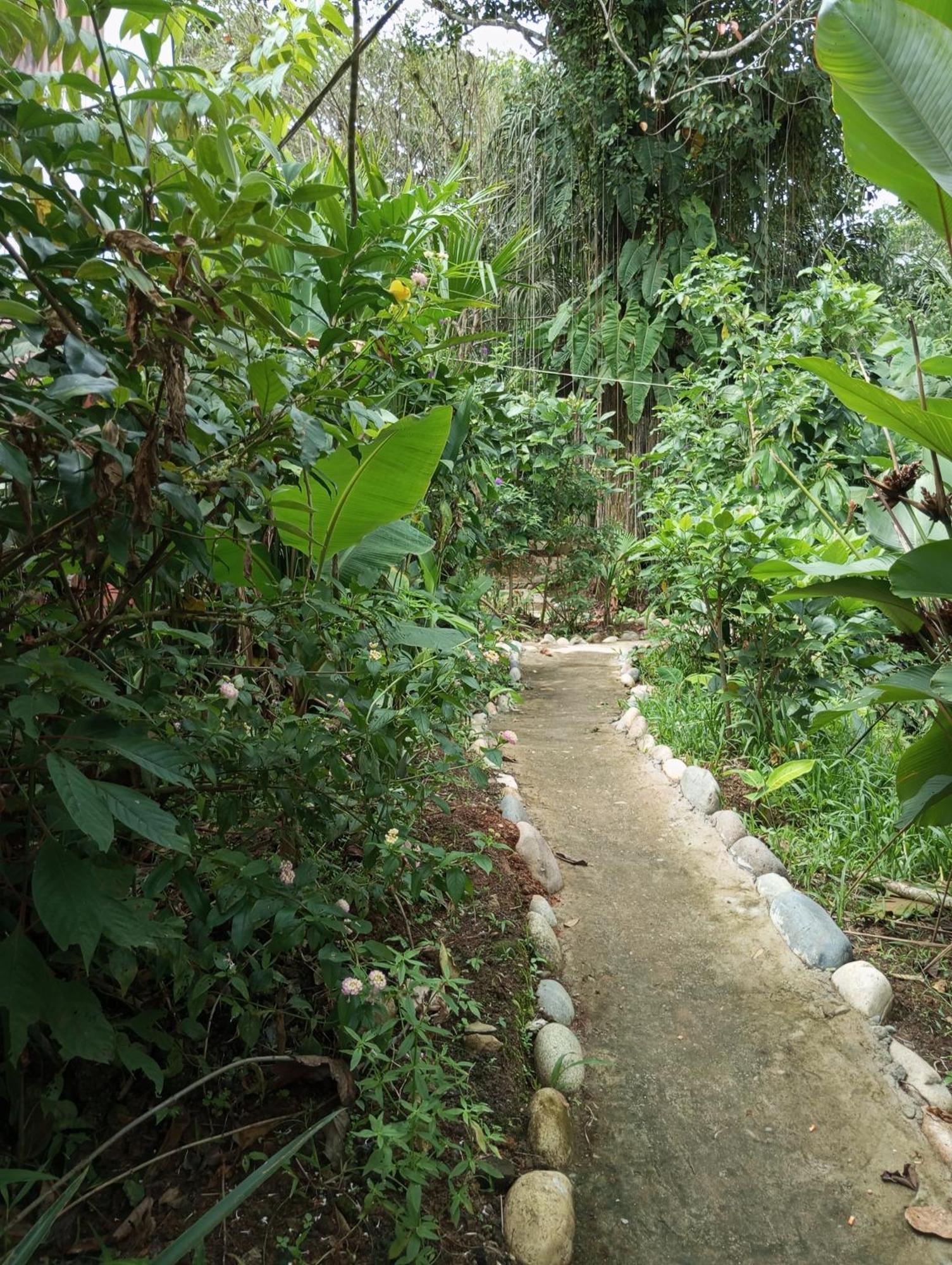 Misahualli Laguna Paikawe B&B Bagian luar foto