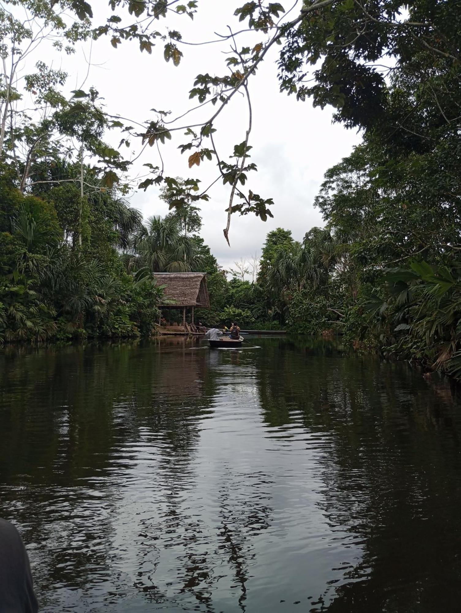Misahualli Laguna Paikawe B&B Bagian luar foto