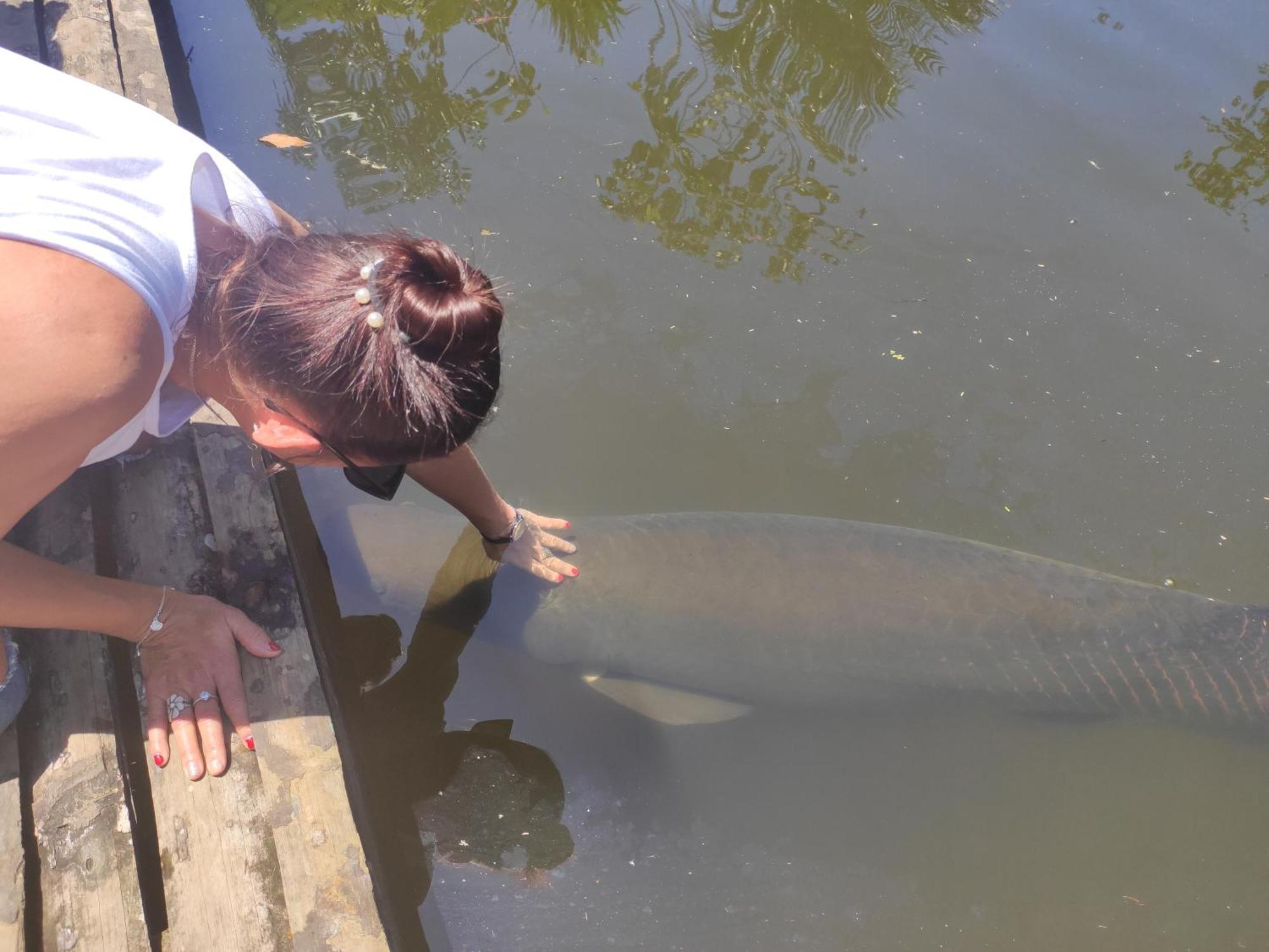Misahualli Laguna Paikawe B&B Ruang foto