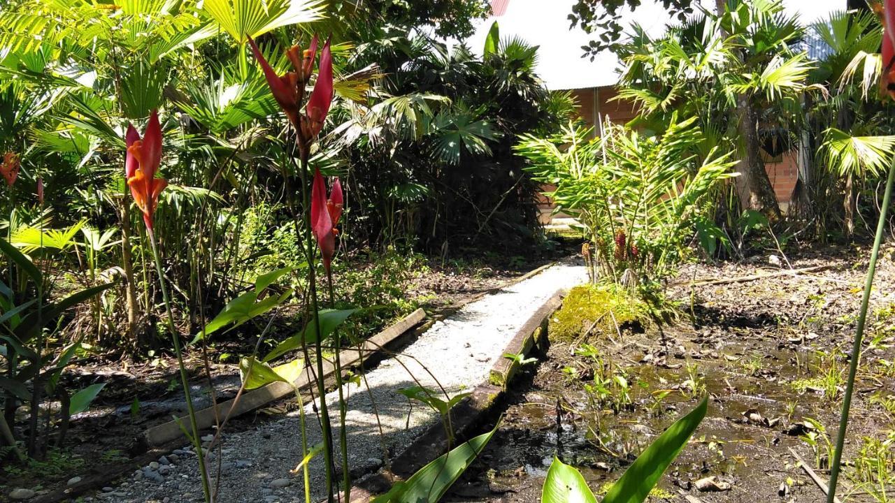 Misahualli Laguna Paikawe B&B Bagian luar foto