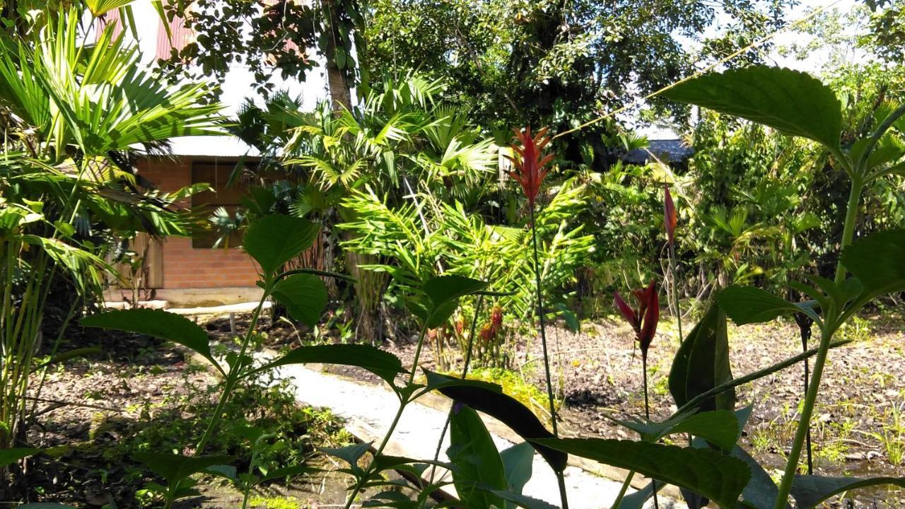 Misahualli Laguna Paikawe B&B Bagian luar foto