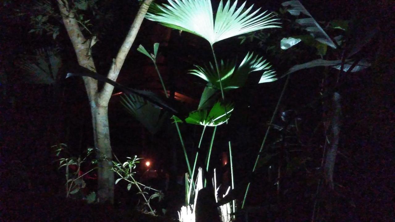 Misahualli Laguna Paikawe B&B Bagian luar foto